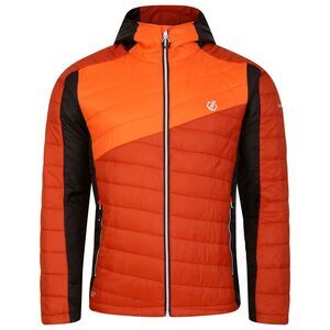 Dare 2B Mens Touring Padded Jacket / Rooibos Tea/Puffins Orange